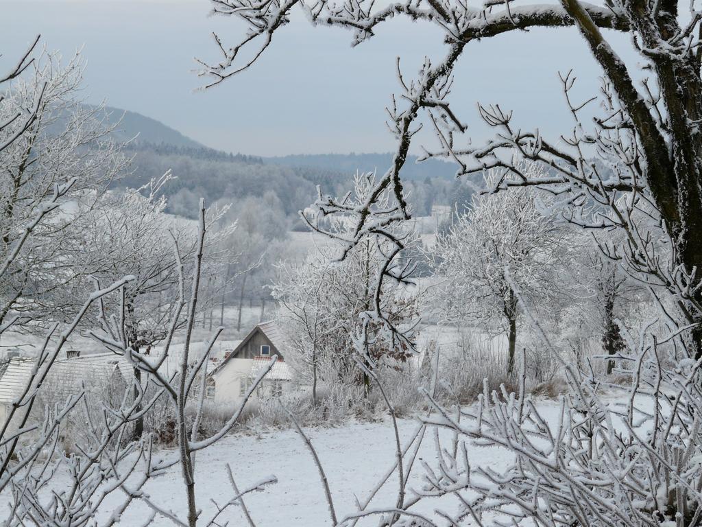 Apartamento Haus Mit Aussicht Horn-Bad Meinberg Exterior foto